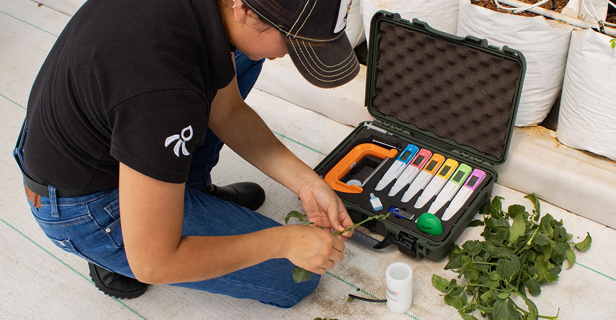 Kit Tomate - Proain Tecnología Agrícola