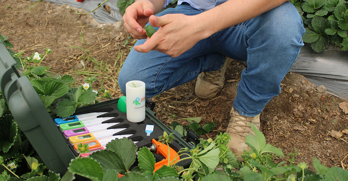 fresa2 - Proain Tecnología Agrícola