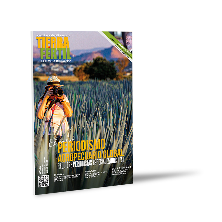 magazine01 - Alejandro Martíne González