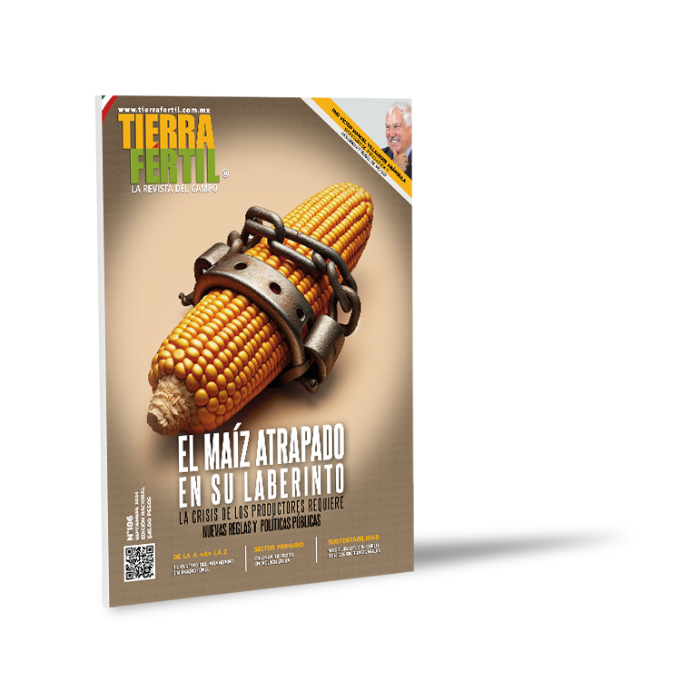 magazine03 - Alejandro Martíne González