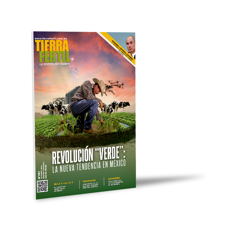 magazine04 - Alejandro Martíne González