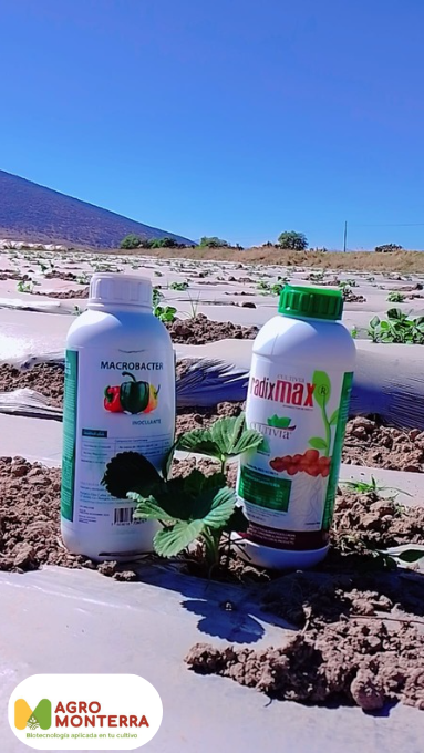 Captura de pantalla 2025-04-30 215539 - Facturación AgroMonterra