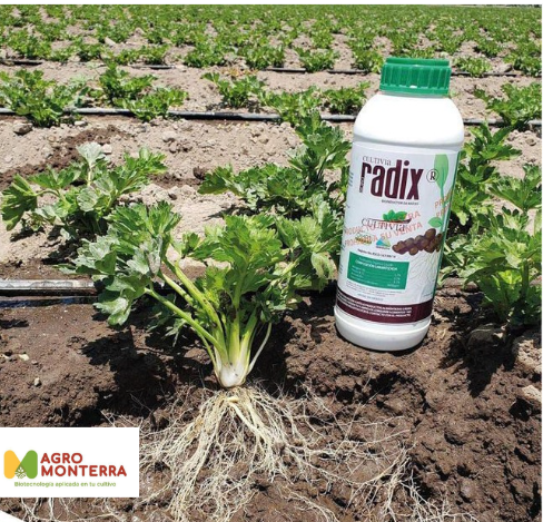 Captura de pantalla 2025-04-30 215950 - Facturación AgroMonterra