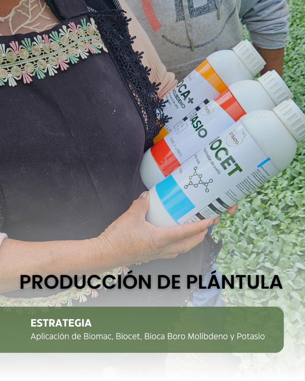 WhatsApp Image 2025-05-07 at 5.45.44 PM (6) - Facturas Biostrato