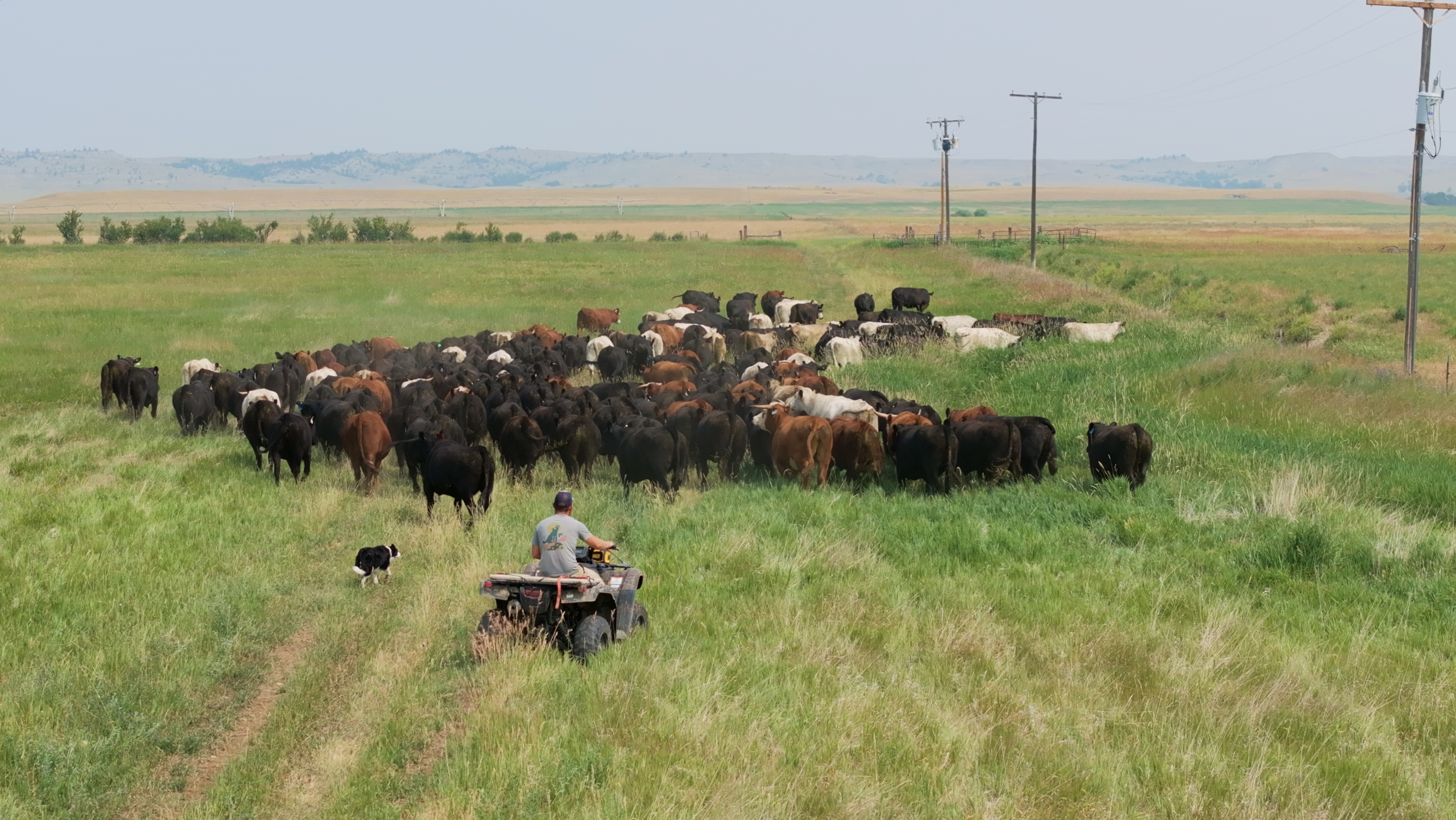 full_TOPP_Montana_31 - Jennifer Ungemach